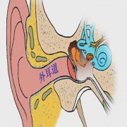 外耳道炎的病因以及症状