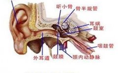 重庆耳鼻喉专科-外耳道炎有哪些症状？