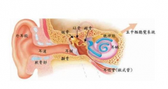 发生耳堵耳闷，谨防中耳炎