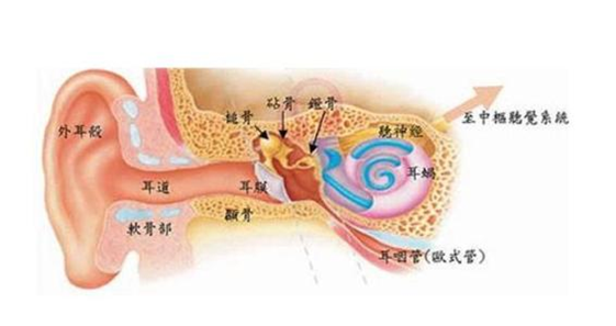 重庆中耳炎