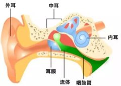 中耳炎常见的护理方法